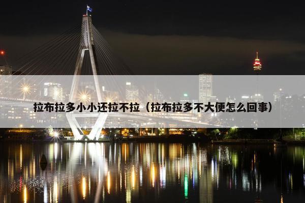 拉布拉多小小还拉不拉（拉布拉多不大便怎么回事）