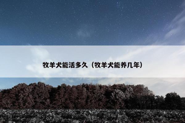 牧羊犬能活多久（牧羊犬能养几年）