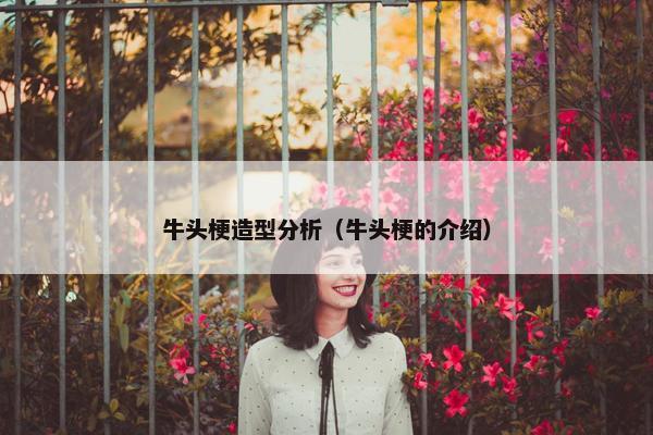 牛头梗造型分析（牛头梗的介绍）