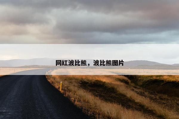 网红波比熊，波比熊图片