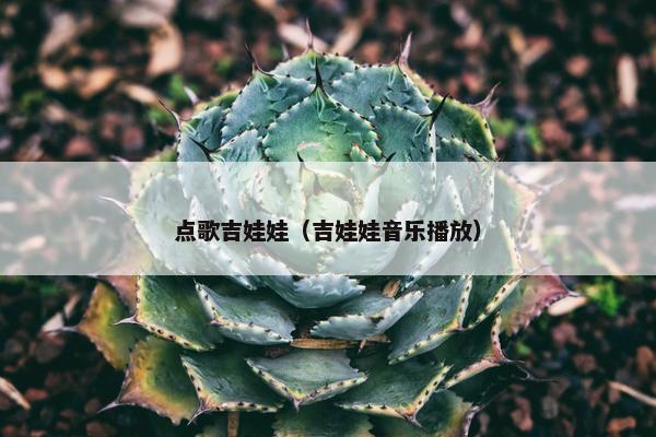 点歌吉娃娃（吉娃娃音乐播放）
