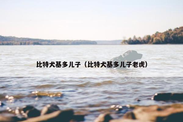 比特犬基多儿子（比特犬基多儿子老虎）