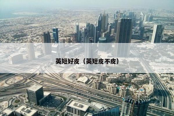 英短好皮（英短皮不皮）