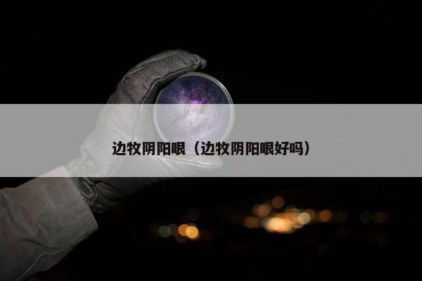 边牧阴阳眼（边牧阴阳眼好吗）