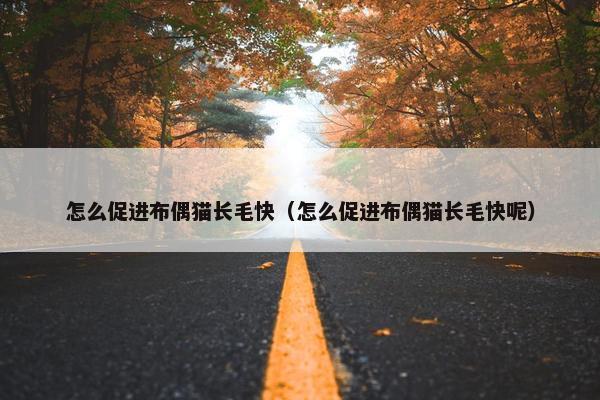 怎么促进布偶猫长毛快（怎么促进布偶猫长毛快呢）