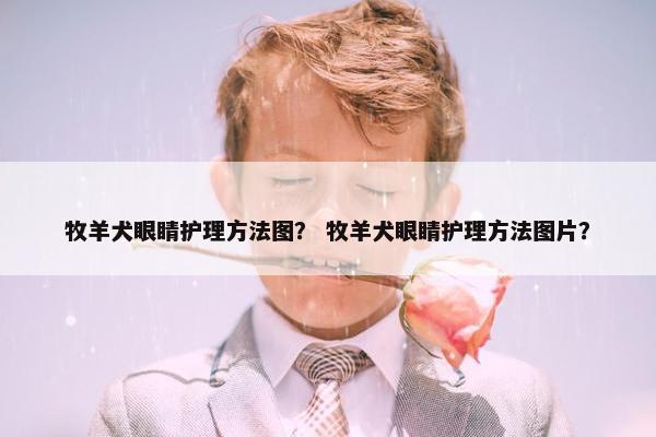 牧羊犬眼睛护理方法图？ 牧羊犬眼睛护理方法图片？