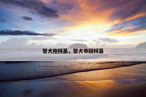 警犬拖柯基，警犬带回柯基