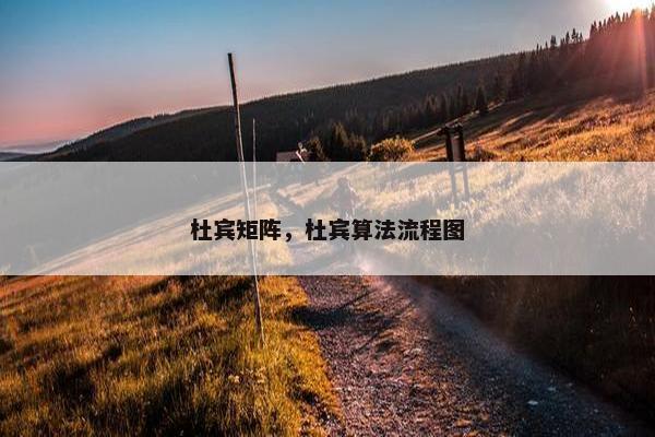 杜宾矩阵，杜宾算法流程图