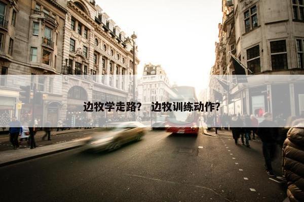 边牧学走路？ 边牧训练动作？