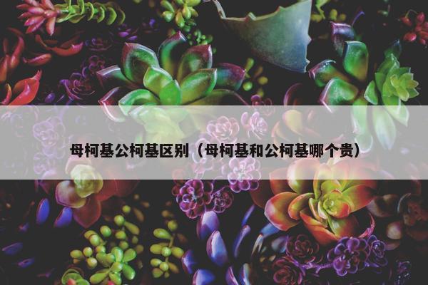 母柯基公柯基区别（母柯基和公柯基哪个贵）
