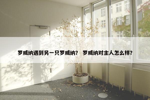 罗威纳遇到另一只罗威纳？ 罗威纳对主人怎么样？