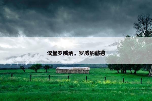 汉堡罗威纳，罗威纳憨憨