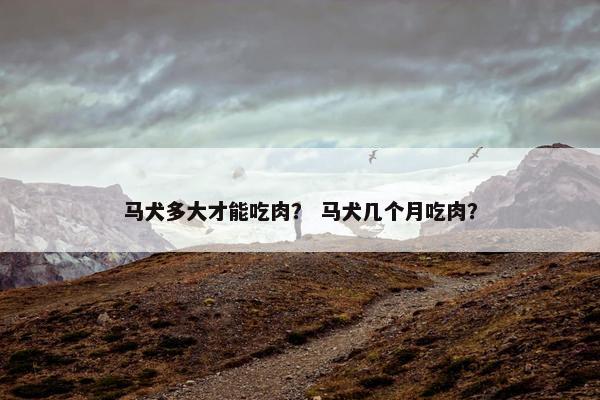 马犬多大才能吃肉？ 马犬几个月吃肉？