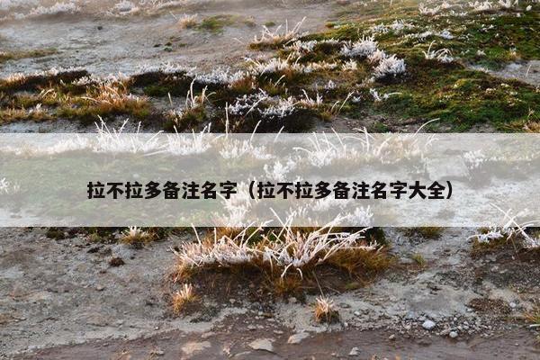 拉不拉多备注名字（拉不拉多备注名字大全）