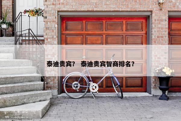 泰迪贵宾？ 泰迪贵宾智商排名？
