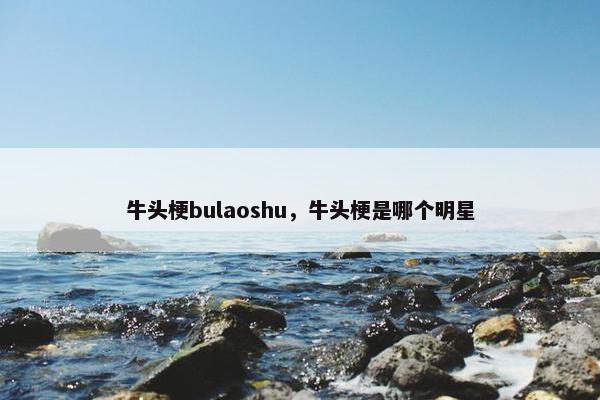 牛头梗bulaoshu，牛头梗是哪个明星