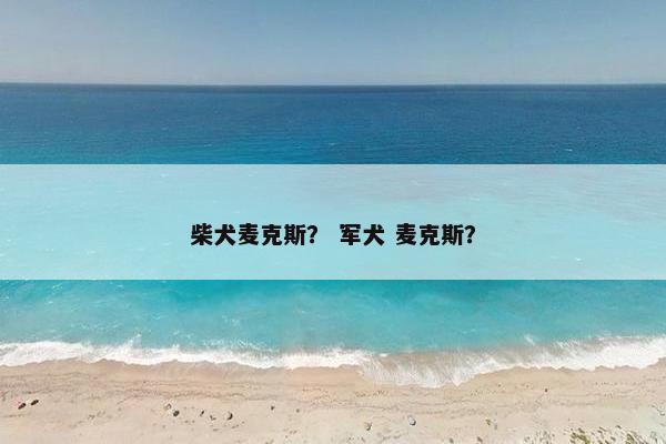柴犬麦克斯？ 军犬 麦克斯？