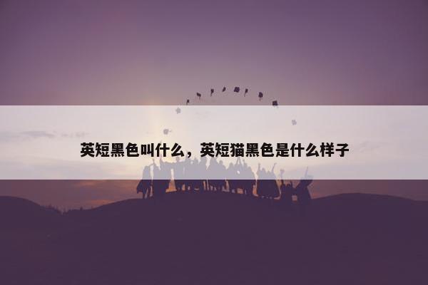 英短黑色叫什么，英短猫黑色是什么样子