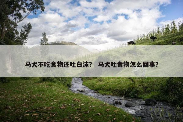 马犬不吃食物还吐白沫？ 马犬吐食物怎么回事？