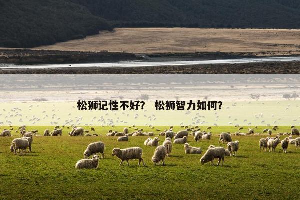 松狮记性不好？ 松狮智力如何？