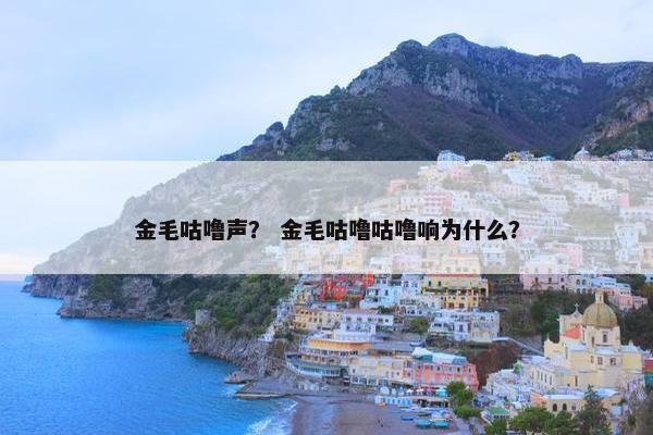 金毛咕噜声？ 金毛咕噜咕噜响为什么？