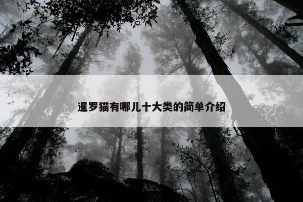 暹罗猫有哪儿十大类的简单介绍