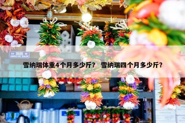 雪纳瑞体重4个月多少斤？ 雪纳瑞四个月多少斤？