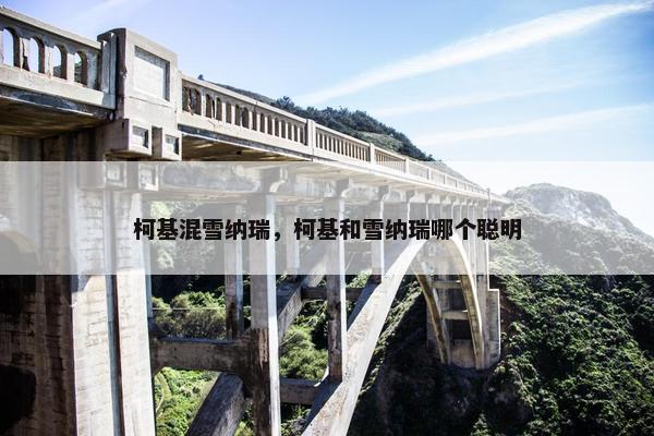 柯基混雪纳瑞，柯基和雪纳瑞哪个聪明