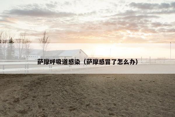萨摩呼吸道感染（萨摩感冒了怎么办）