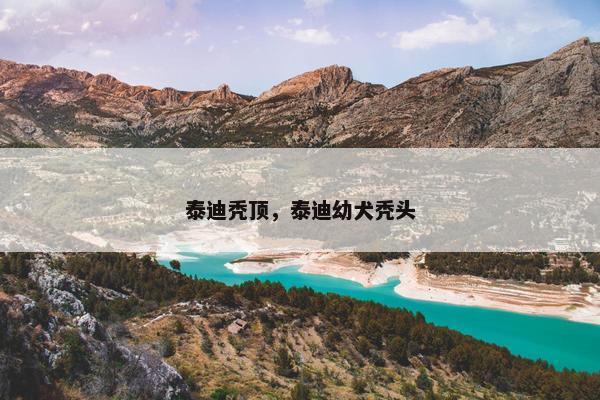 泰迪秃顶，泰迪幼犬秃头