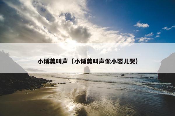 小博美叫声（小博美叫声像小婴儿哭）