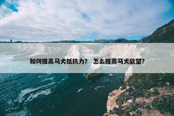 如何提高马犬抵抗力？ 怎么提高马犬欲望？