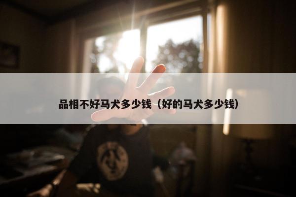 品相不好马犬多少钱（好的马犬多少钱）