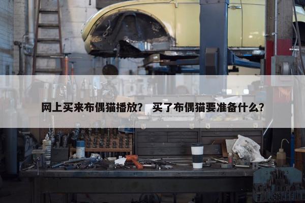 网上买来布偶猫播放？ 买了布偶猫要准备什么？