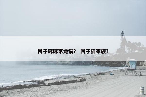 团子麻麻家龙猫？ 团子猫家族？