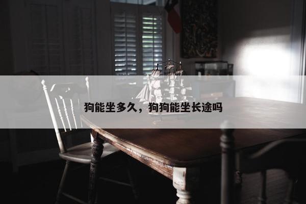 狗能坐多久，狗狗能坐长途吗