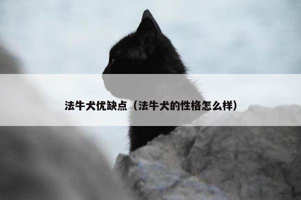 法牛犬优缺点（法牛犬的性格怎么样）