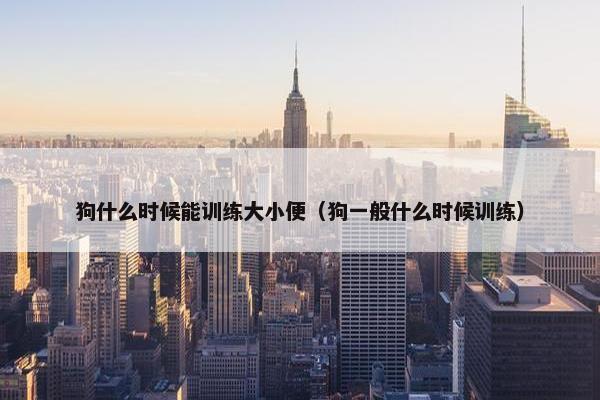 狗什么时候能训练大小便（狗一般什么时候训练）