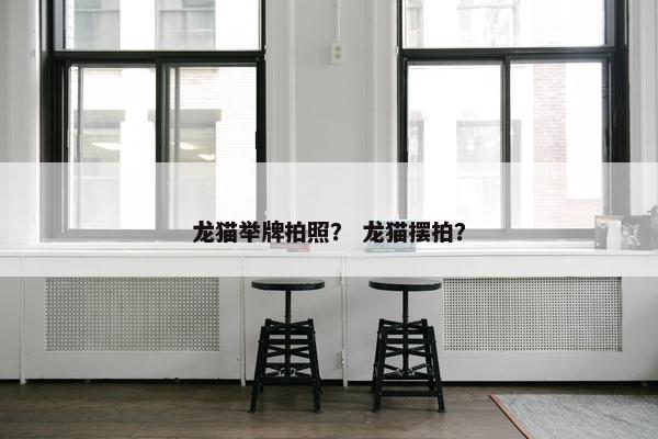 龙猫举牌拍照？ 龙猫摆拍？