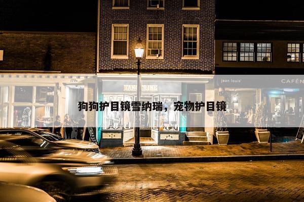 狗狗护目镜雪纳瑞，宠物护目镜