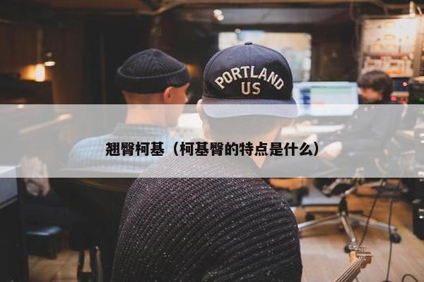 翘臀柯基（柯基臀的特点是什么）