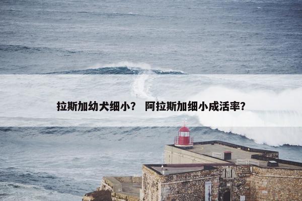 拉斯加幼犬细小？ 阿拉斯加细小成活率？