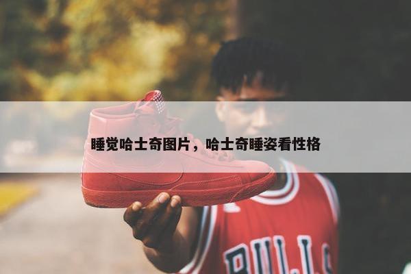 睡觉哈士奇图片，哈士奇睡姿看性格
