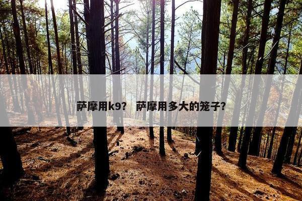 萨摩用k9？ 萨摩用多大的笼子？