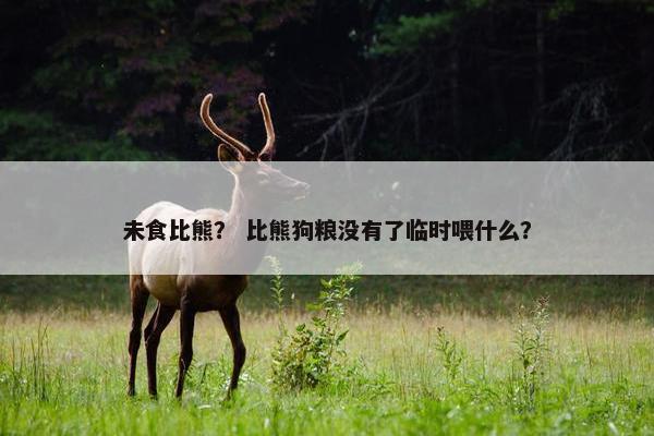 未食比熊？ 比熊狗粮没有了临时喂什么？