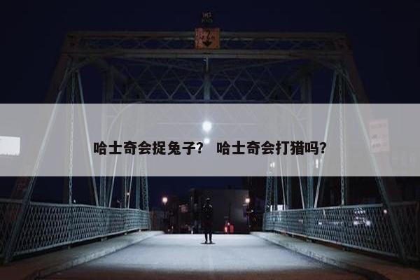 哈士奇会捉兔子？ 哈士奇会打猎吗？