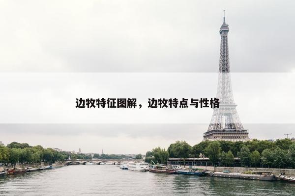 边牧特征图解，边牧特点与性格