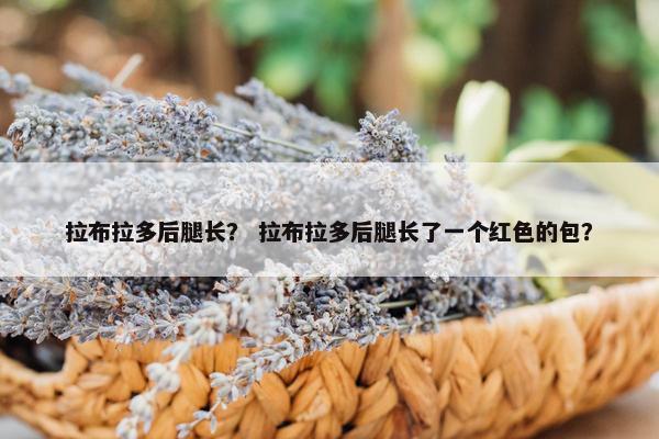 拉布拉多后腿长？ 拉布拉多后腿长了一个红色的包？