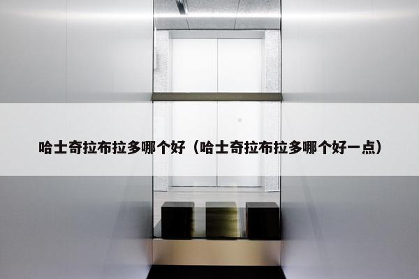 哈士奇拉布拉多哪个好（哈士奇拉布拉多哪个好一点）