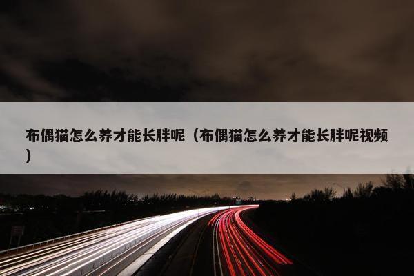 布偶猫怎么养才能长胖呢（布偶猫怎么养才能长胖呢视频）